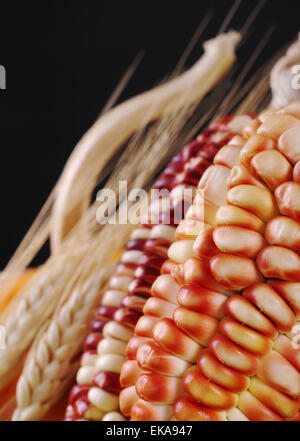 Maïs colorés avec des tiges de blé s/n et la citrouille à l'arrière-plan (Selective Focus, Focus sur les premières lignes du maïs) Banque D'Images
