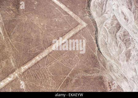 Lignes de Nazca géoglyphe de baleines au Pérou Banque D'Images