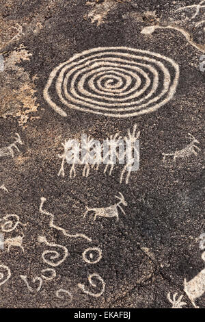 Pétroglyphes créés par les Indiens Hohokam, qui ont occupé les vallées autour de Phoenix et Tucson entre 300Ð1500 C.E. Banque D'Images