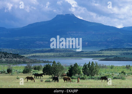 Chevaux en face du lac, près de Ghost Ranch à Abiquiu, Nouveau Mexique, où l'imposant Cerro sous forme de Pedernal. Banque D'Images