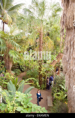 Myriad Botanical Gardens, Oklahoma City, OK, États-Unis d'Amérique Banque D'Images