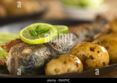 Truite poêlée avec lime slices et pommes de terre avec le persil dans le jus de lime (Selective Focus) Banque D'Images