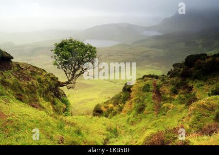 Paysage de l'Écossais, île de Skye, en Ecosse. UK. Banque D'Images