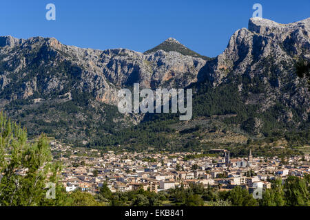 Avis de Soller, Majorque, Îles Baléares, Espagne Banque D'Images