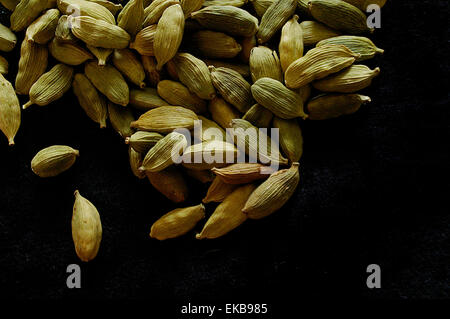 Macro close up image de gousses de cardamome sur un fond noir Banque D'Images