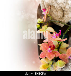 Composition avec de belles orchid spa Banque D'Images