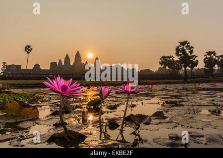 Lever du soleil sur l'entrée ouest de Angkor Wat, Angkor, l'UNESCO, Siem Reap, Cambodge, Indochine, Asie du Sud, Asie Banque D'Images