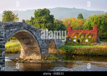 Tu Hwnt j'r Bont de thé et Pont Fawr (grand pont) à l'automne, Conwy, Snowdonia, Conwy, Pays de Galles, Royaume-Uni, Europe Banque D'Images