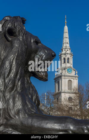 Lion au pied de la Colonne Nelson et St Martin-in-the-Fields church, Trafalgar Square, Londres, Angleterre, Royaume-Uni, Europe Banque D'Images