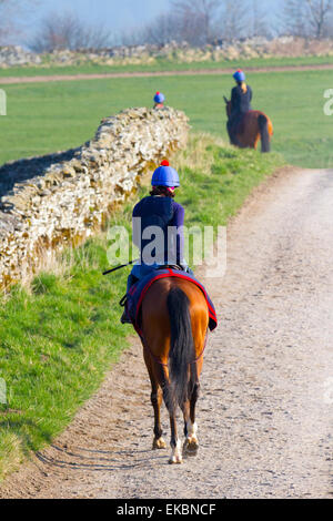 Arrière du cavalier de course jockey sur les routes de campagne dans le North Yorkshire Dales, Royaume-Uni avril 2015. Middleham possède maintenant ses propres gallerps en herbe et toutes saisons avec rail de course en plastique à crémaillère sur les Moors basse et haute. Middleham est établi comme un centre de formation de premier plan au Royaume-Uni où sont basés quinze formateurs. Les installations et la disposition ont continué à s'améliorer, permettant aux entraîneurs d'envoyer des athlètes en forme et de compétition et ont été récompensés par un succès supplémentaire au niveau supérieur. Banque D'Images