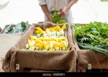 Ventes des agriculteurs des légumes biologiques sur stall Banque D'Images