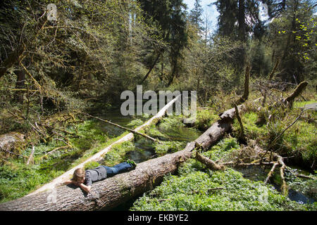 Le Parc National Olympique, Hoh Rainforest, Washington State, USA Banque D'Images