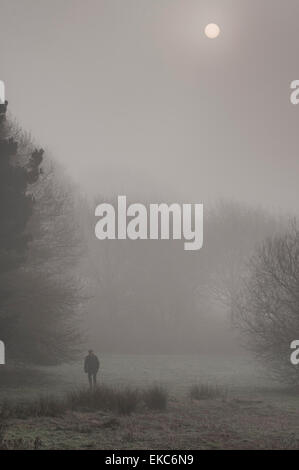 Bewl Water, Ticehurst, East Sussex, Royaume-Uni.9 avril 2015.la brume en début de matinée enveloppe l'eau et la campagne environnante créant des scènes éthérées Banque D'Images