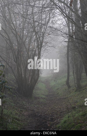 Bewl Water, Ticehurst, East Sussex, Royaume-Uni.9 avril 2015.la brume en début de matinée enveloppe l'eau et la campagne environnante créant des scènes éthérées Banque D'Images