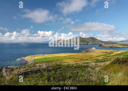 Décor de Valentia Island à l'Anneau du Kerry, comté de Kerry, Irlande Banque D'Images