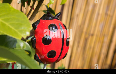 Grand jardin faux repéré sept ornementales coccinelle dans certaines feuilles en face d'une clôture de bambou sur une journée de printemps ensoleillée. Banque D'Images