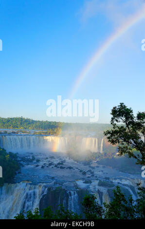 Arc-en-ciel sur Chutes d'Iguacu, Brésil Banque D'Images