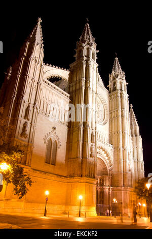 Cathédrale de Majorque à Palma de Majorque nuit Banque D'Images