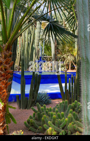 La fontaine des jardins Majorelle à Marrakech, Maroc Banque D'Images