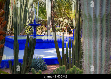 Regardant à travers les cactus à la fontaine au Jardin Majorelle à Marrakech, Maroc Banque D'Images