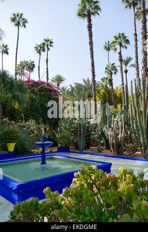 La fontaine des jardins Majorelle à Marrakech, Maroc Banque D'Images