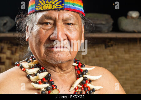 Dans l'Amazonie équatorienne chaman lors d'une cérémonie de l'Ayahuasca réel Parution Modèle Images Comme vu en avril 2015 Banque D'Images