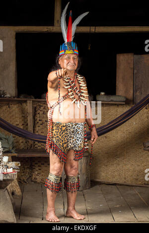 Dans l'Amazonie équatorienne chaman lors d'une cérémonie de l'Ayahuasca réel Parution Modèle Images Comme vu en avril 2015 Banque D'Images