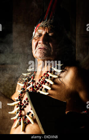 Dans l'Amazonie équatorienne chaman lors d'une cérémonie de l'Ayahuasca réel Parution Modèle Images Comme vu en avril 2015 Banque D'Images