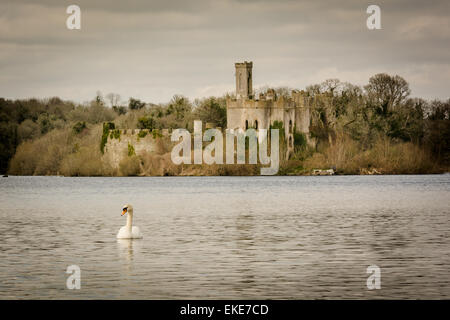 L'île au cygne sur le Lough Key près de Boyle, comté de Roscommon, Irlande Banque D'Images