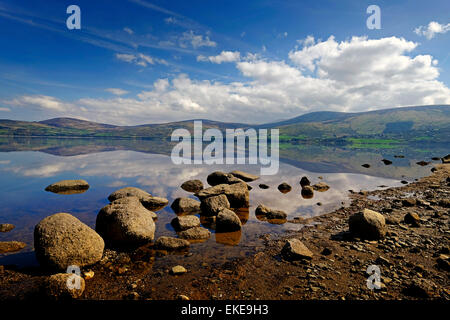 Blessington lakes Co. Wicklow, Irlande Banque D'Images