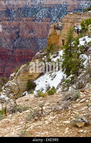 Pied de l'hiver dernier dans le Grand Canyon Banque D'Images