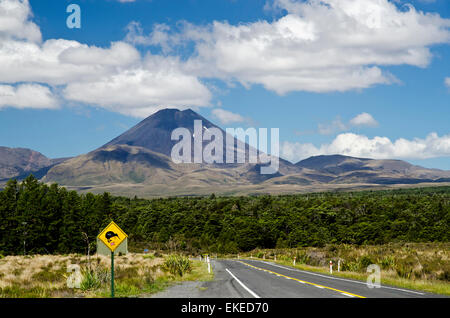 Méfiez-vous des Kiwis signe avec Mt Ngauruhoe, pic volcanique symétriques à l'arrière-plan. Banque D'Images