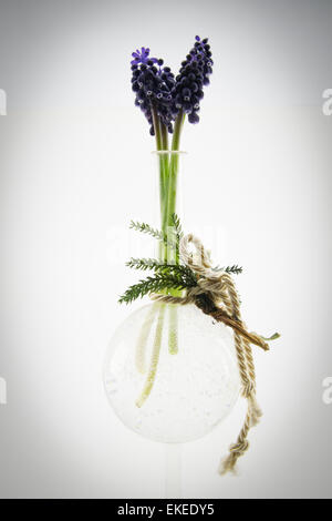 Les petites fleurs violettes en vase de cristal Banque D'Images