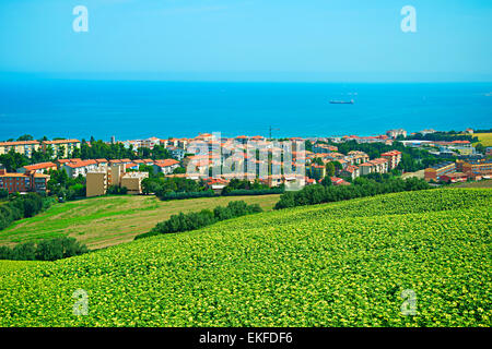 Paysage avec champ de tournesols et de petite ville sur la côte. Ancona, Italie Banque D'Images