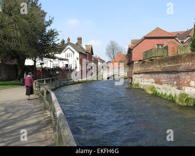 Itchen Winchester : River riverside walk Banque D'Images