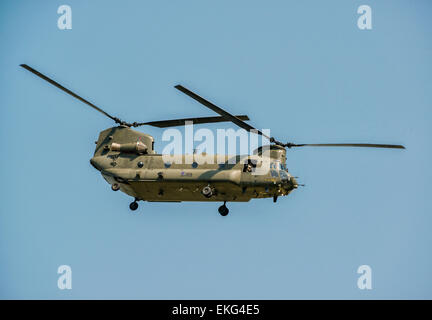 Chinook de la RAF à RIAT 2014 SC2 Banque D'Images