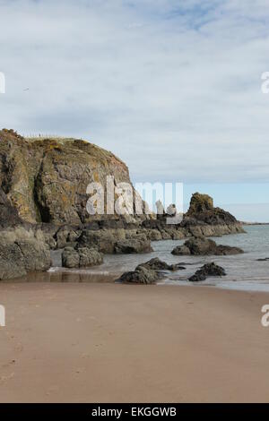 Plage à lunan bay angus ecosse avril 2015 Banque D'Images