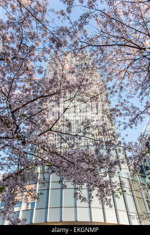 Fleur de cerisier,Tokyo Midtown, Minatoo-Ku,Tokyo,Japon Banque D'Images