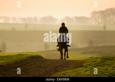 Campagne galops à Middleham, North York Moors paysage, Wensleydale. Misty, lumineux, brumeux matin de commencer la journée plus de Middleham. Il dispose de sa propre base de Middleham et tous les temps de formation avec horsetrack rail de roulement en plastique sur la fourchette des Maures. Middleham est imposé comme l'un des centre de formation pour les chevaux pur-sang au Royaume-Uni où 15 formateurs sont fondées. Les installations et la mise en page ont continué à améliorer permettant aux formateurs d'envoyer mettre en place et les athlètes et ont été récompensés par de nouveaux succès au plus haut niveau. Banque D'Images