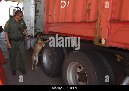 L'agent de patrouille à la frontière sud du Texas et du SDPF inspecter canine chariot à vérifier point inspection le 25 septembre 2013. Donna Burton Banque D'Images