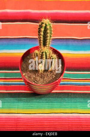 Fiesta Mexicaine traditionnelle poncho tapis dans des tons lumineux et cactus avec background with copy space Banque D'Images