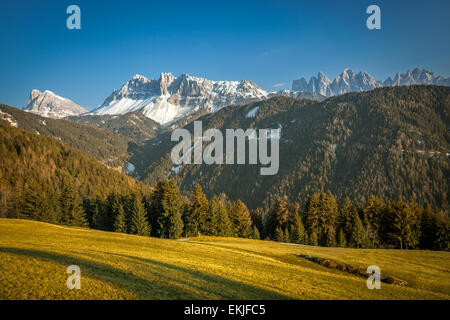 Dolomiti Dolomites (Alpes) vue du Passo delle Erbe, dans le Tyrol du Sud, Trentin-Haut-Adige, Italie du Nord Banque D'Images