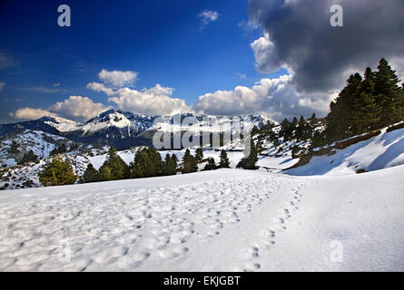 Vu de la montagne Xerovouni Dirfys mountain, Eubée ('Euboea'), Croatie Banque D'Images