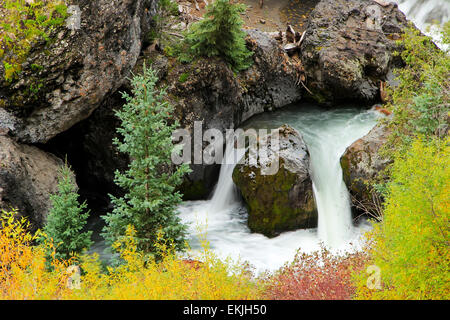 Close up de Sneffels Creek, Mount Sneffels Range, Colorado, USA Banque D'Images