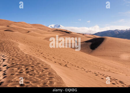 Empreintes sur la Great Sand Dunes Dunes, le plus haut en Amérique du Nord, avec des sommets enneigés des montagnes Sangre de Cristo Banque D'Images