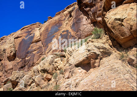 Des exemples remarquables de Fremont Indian pétroglyphes gravés sur il y a 800 ans, Dinosaur National Monument près de Vernal, UT, USA Banque D'Images