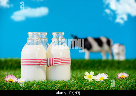Trois petites bouteilles de lait de vache dans un pré Banque D'Images