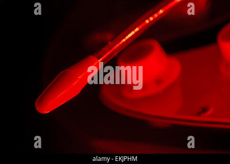 Barre de vibrato d'une guitare électrique en lumière rouge Banque D'Images