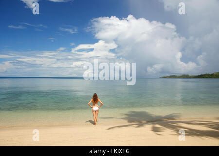 Young woman in bikini debout sur une plage tropicale, Nananu-i-ra island, Fidji, Pacifique Sud Banque D'Images