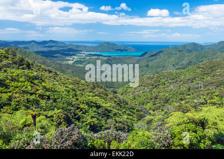 Surplombant la baie de Kennedy et de la péninsule de Coromandel. Photo prise à l'été par une belle journée ensoleillée Banque D'Images